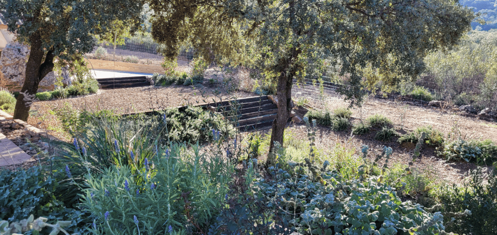 el tabarra